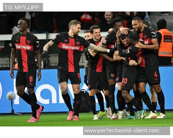 欧冠精彩对决多特蒙德3-0本菲卡战术分析与绝杀瞬间回顾